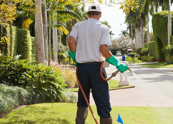 About Ponder TX Pest Control